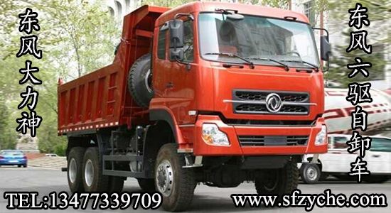 ���ڌ������(q��)ԽҰ��ж܇